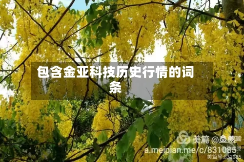 包含金亚科技历史行情的词条-第2张图片
