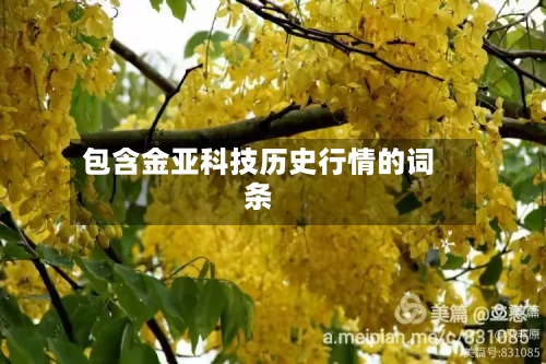 包含金亚科技历史行情的词条-第3张图片