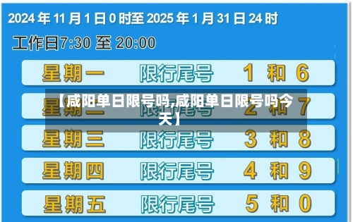 【咸阳单日限号吗,咸阳单日限号吗今天】-第3张图片