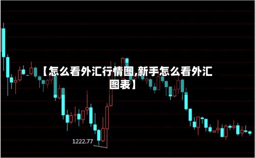 【怎么看外汇行情图,新手怎么看外汇图表】
