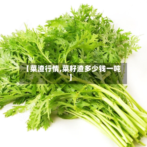【菜渣行情,菜籽渣多少钱一吨】-第1张图片