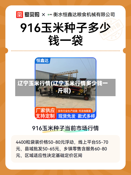 辽宁玉米行情(辽宁玉米行情多少钱一斤啊)-第2张图片