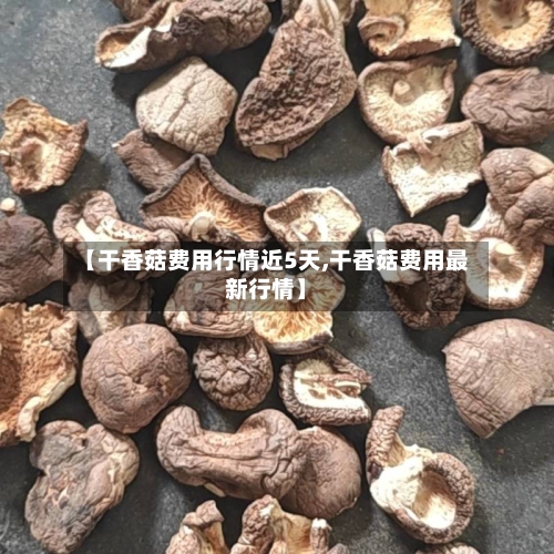 【干香菇费用行情近5天,干香菇费用最新行情】-第2张图片