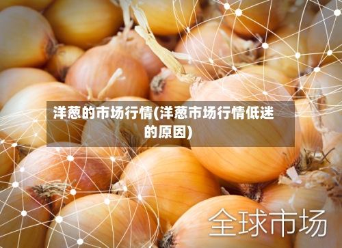 洋葱的市场行情(洋葱市场行情低迷的原因)-第2张图片