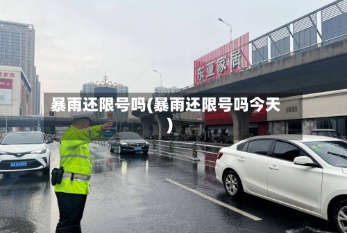 暴雨还限号吗(暴雨还限号吗今天)-第2张图片