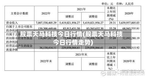 股票天马科技今日行情(股票天马科技今日行情走势)-第3张图片