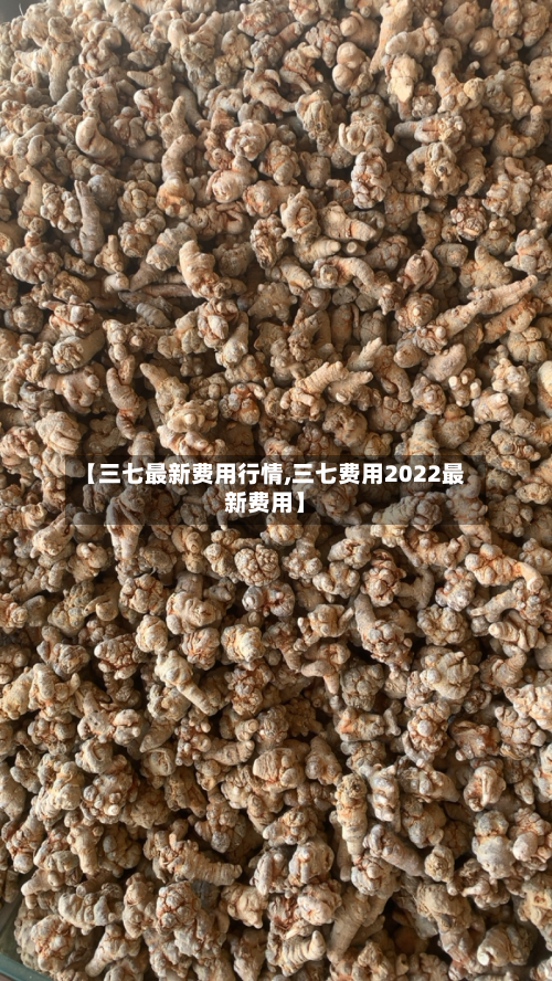 【三七最新费用行情,三七费用2022最新费用】-第2张图片