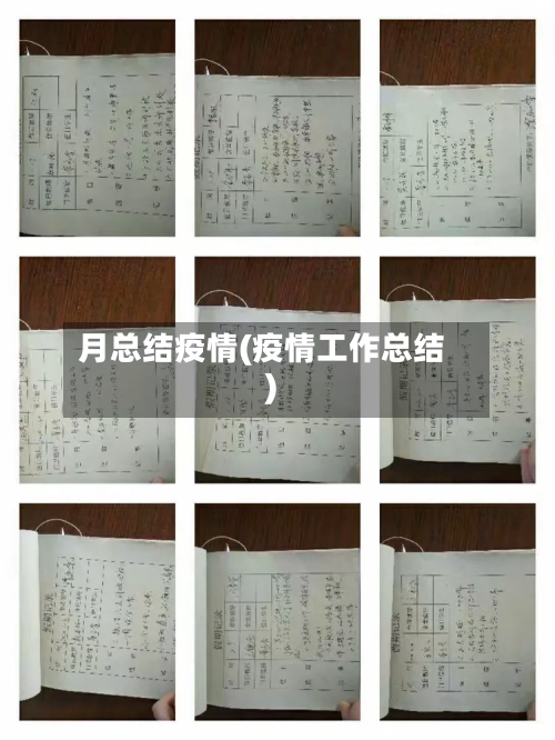月总结疫情(疫情工作总结)-第2张图片