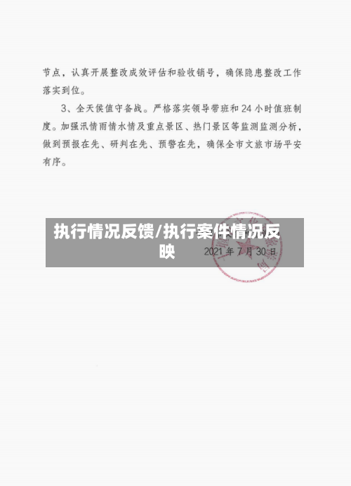 执行情况反馈/执行案件情况反映-第3张图片