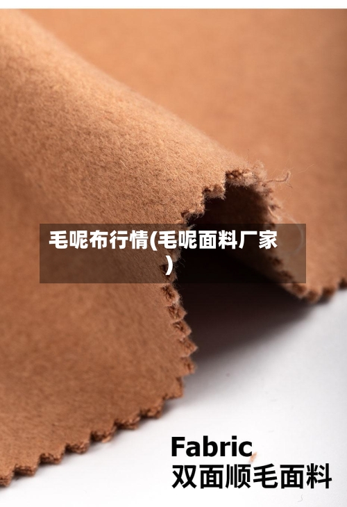 毛呢布行情(毛呢面料厂家)-第1张图片