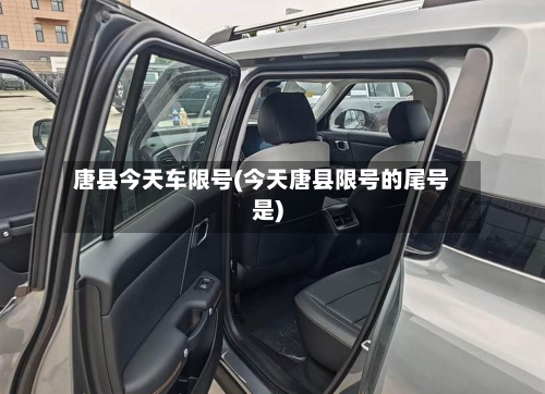 唐县今天车限号(今天唐县限号的尾号是)-第2张图片