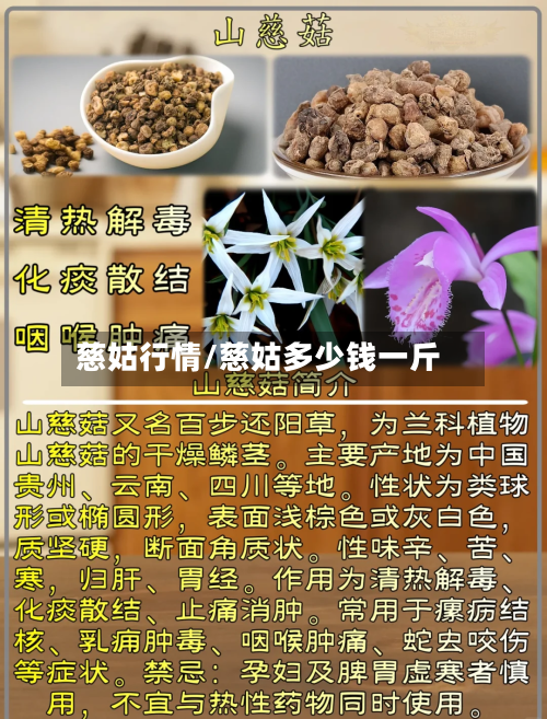 慈姑行情/慈姑多少钱一斤-第1张图片