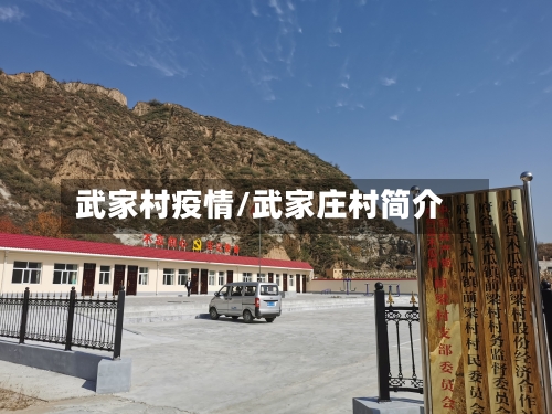 武家村疫情/武家庄村简介-第3张图片