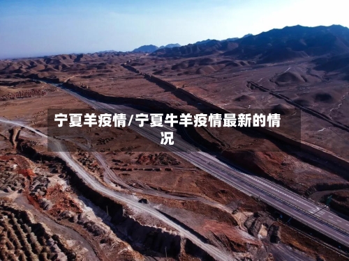 宁夏羊疫情/宁夏牛羊疫情最新的情况-第1张图片