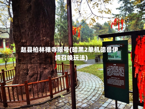 赵县柏林禅寺限号(暗黑2单机德鲁伊纯召唤玩法)-第3张图片