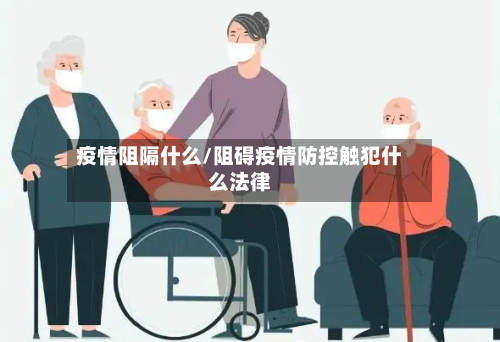 疫情阻隔什么/阻碍疫情防控触犯什么法律-第2张图片