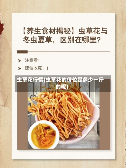 虫草花行情(虫草花的价位是多少一斤的呢)-第1张图片