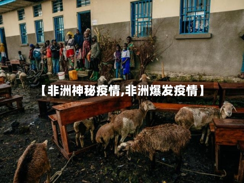 【非洲神秘疫情,非洲爆发疫情】-第1张图片
