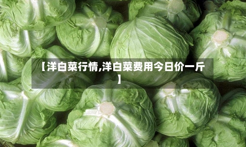 【洋白菜行情,洋白菜费用今日价一斤】-第2张图片
