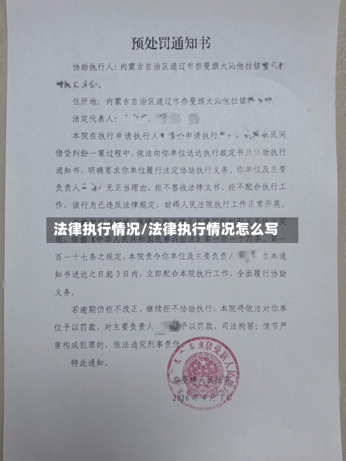 法律执行情况/法律执行情况怎么写-第1张图片