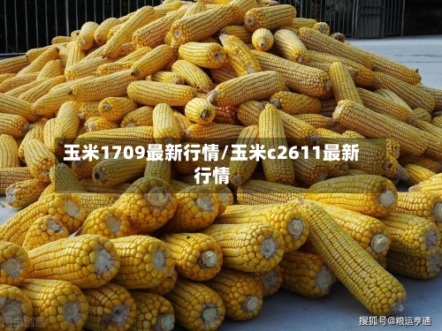 玉米1709最新行情/玉米c2611最新行情-第1张图片