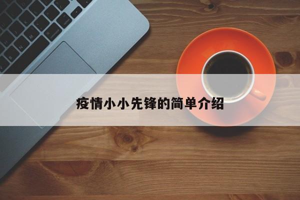 疫情小小先锋的简单介绍