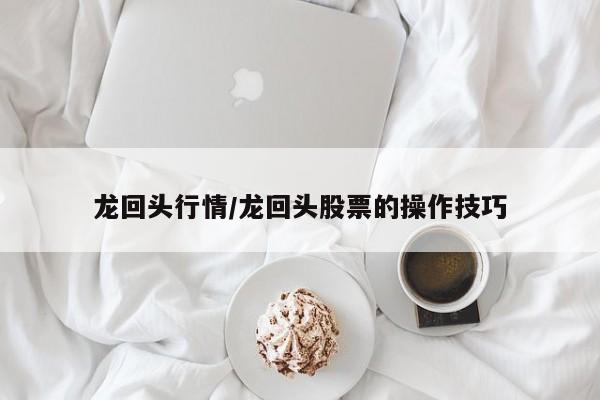 龙回头行情/龙回头股票的操作技巧