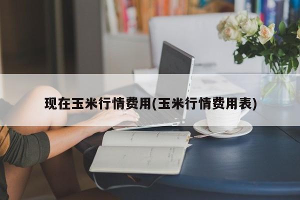 现在玉米行情费用(玉米行情费用表)