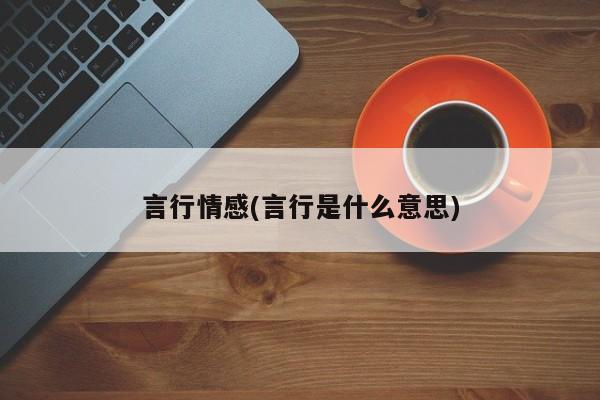 言行情感(言行是什么意思)