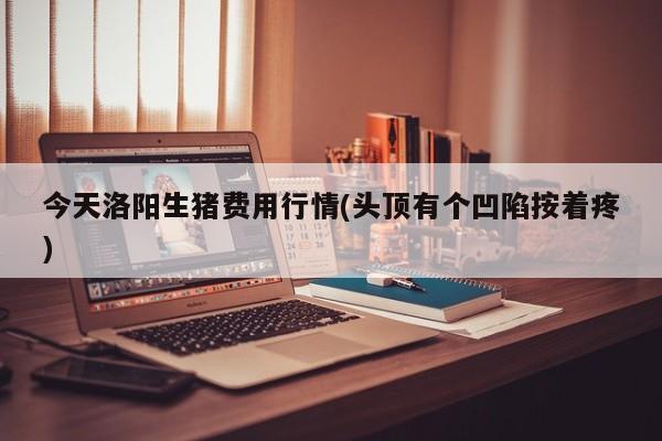 今天洛阳生猪费用行情(头顶有个凹陷按着疼)