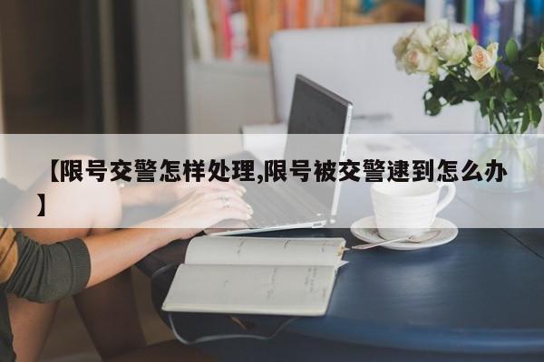 【限号交警怎样处理,限号被交警逮到怎么办】