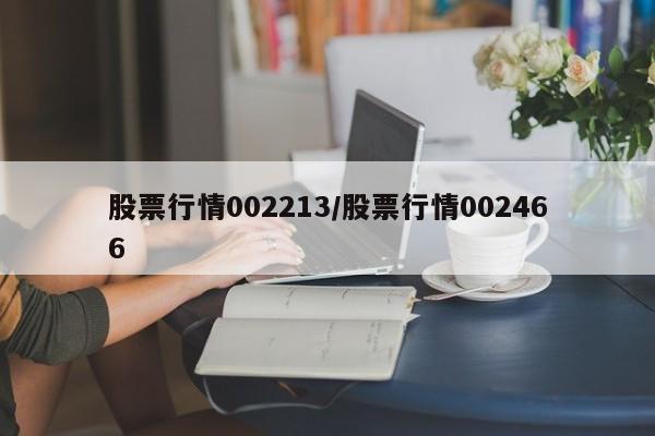 股票行情002213/股票行情002466