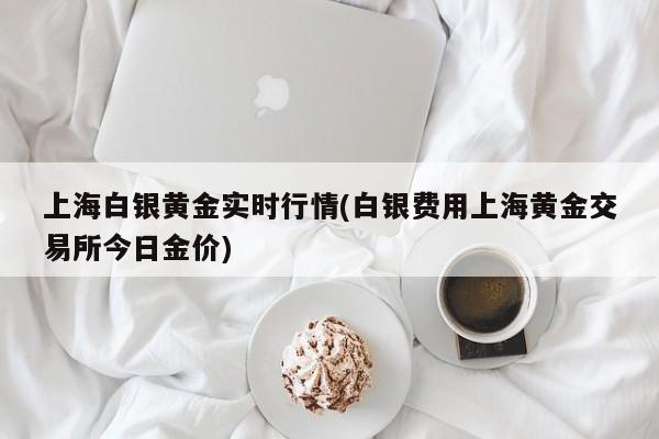 上海白银黄金实时行情(白银费用上海黄金交易所今日金价)