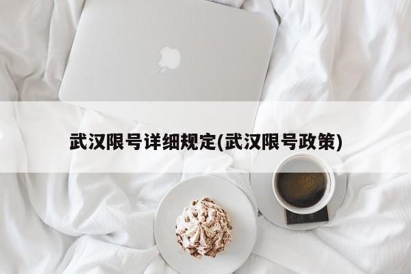 武汉限号详细规定(武汉限号政策)