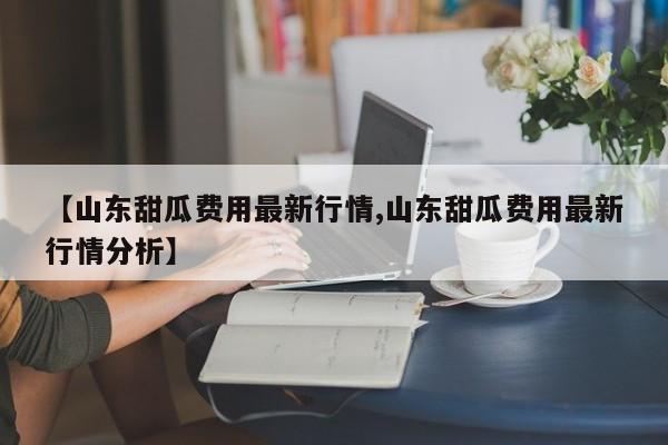 【山东甜瓜费用最新行情,山东甜瓜费用最新行情分析】
