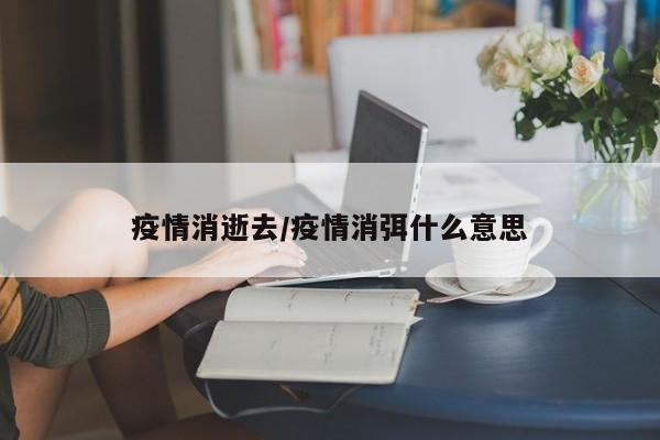 疫情消逝去/疫情消弭什么意思